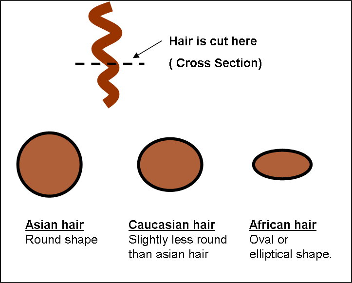 hair extensions indian hair