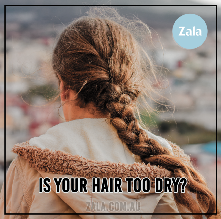 Is Your Hair Too Dry?