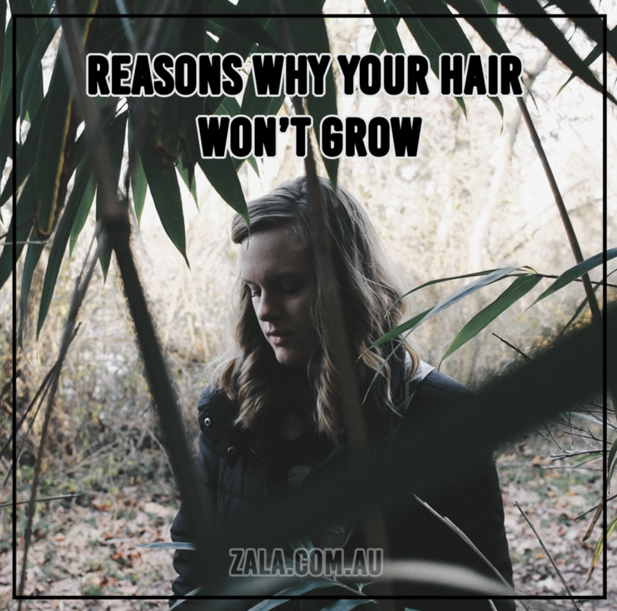 Why Your Hair Won't Grow