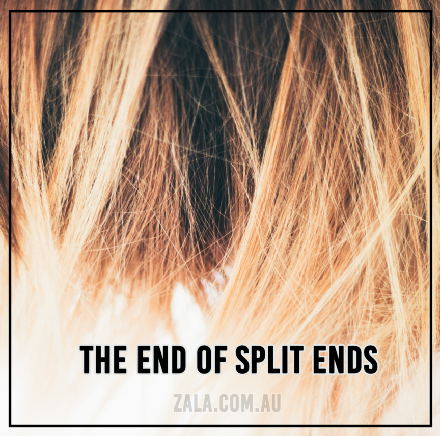 zala the end of split ends