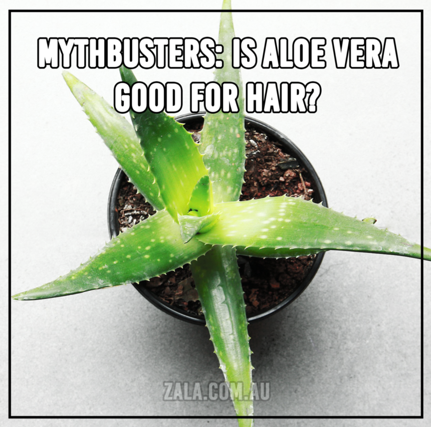 Mythbusters: Is Aloe Vera Good For Hair?